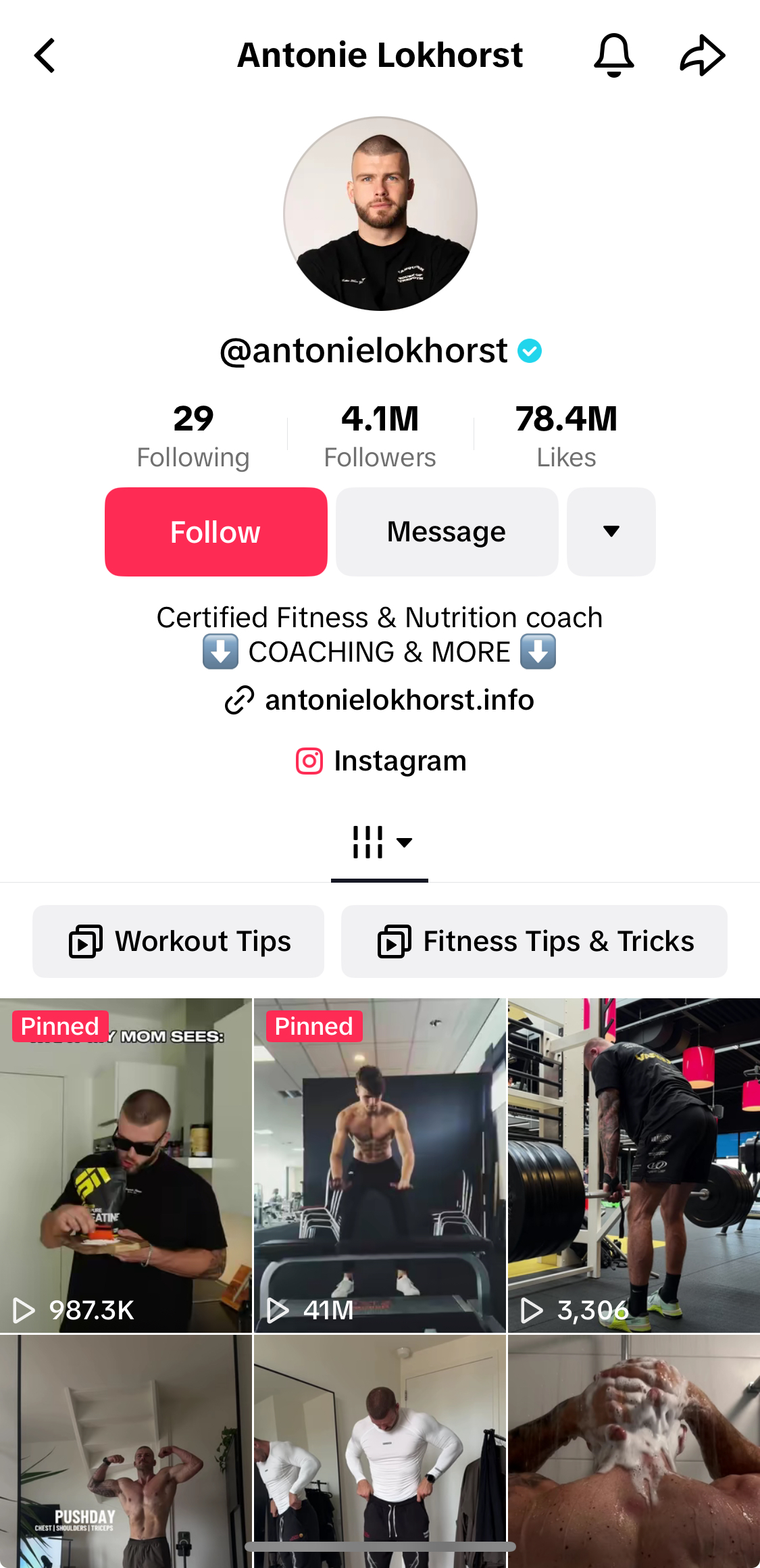 安东尼·洛克霍斯特 (Antonie Lokhorst) 的 TikTok 个人资料。